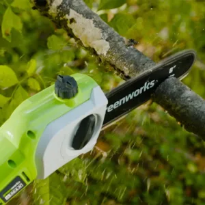 Potatore greenworks elettrico 40V